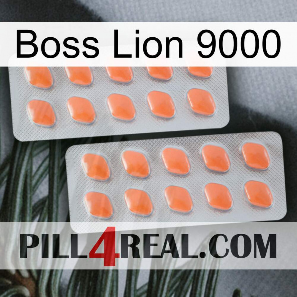 Boss Lion 9000 27.jpg